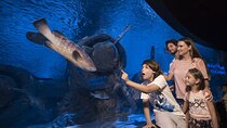 Half Day Antalya Aquarium Tour And Wax Museum