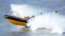 PRIVATE HIRE SPEEDBOAT 'ULTIMATE TOWER RIB BLAST' FROM TOWER PIER - 40 Minutes