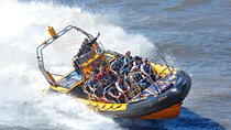PRIVATE HIRE SPEEDBOAT 'THAMES BARRIER EXPERIENCE - 70 minutes from Embankment