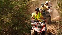 Kusadasi Half Day Quad Safari Experience With Free Hotel Transfer