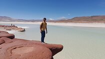 Piedras Rojas Salt Flats and Altiplanic Lagoons