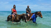 Horseback Riding, Dunn’s River Falls, & BlueHole from Montego Bay