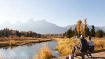 From Jackson: Full-day Grand Teton Wildlife and Scenery Tour with Lunch