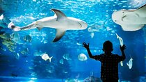 Aquarium Phuket Admission Ticket
