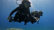 Experience Scuba Diving in Heraklion Crete