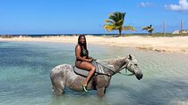 Horseback Ride and Swim Guided Tour from Montego Bay 
