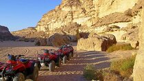 Bedouins trip in sharm Safari quad pick Camel Dinner_Stargazing 