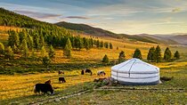 Private 8 Days Mongolia Tour with Nomadic Gobi & Nature