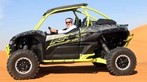 Polarize Dune Buggy 1000cc in Red Dunes Desert