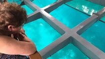 2 To 5 Hours Glass Bottom Boat Private Tour At Read Sea