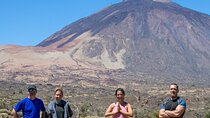 Half-Day Volcanic Experience in Teide, Tenerife
