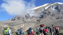 8 Days Mt Kilimanjaro Climb - Lemosho Route