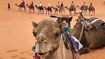 4 Days Desert Tours from Marrakech to Merzouga