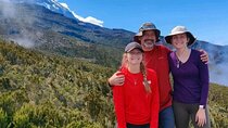 8 Days Hiking and Camping Machame Route in Moshi