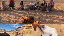 Wadi Rum Full Day Desert and Farm Tour