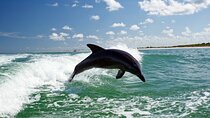 Side Dolphin Island Boat Trip With Lunch And Soft Drinks