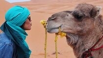 7 Day Tour in Marrakech Essaouira The Sahara Desert