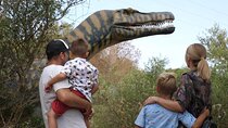 Half Day Tour to Dinosaur Land in Mallorca