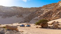 Luxury Desert Safari Tour, Morning & Afternoon from Hurghada