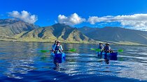 Kayak & Turtle Snorkel(Turtles Guaranteed)+Whale Watch in Season