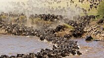 3 Days Maasai Mara Safari