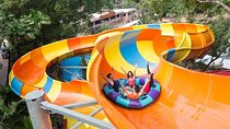 Malaysia’s Top Theme Park Sunway Lagoon Entry + Return Transfers