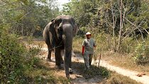 Kulen Elephant Forest & Tonlesap Lake