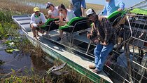 60 Minutes Small Group Everglades Airboat Ride in Miami