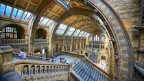 The Natural History Museum of London: Private Half-Day Tour