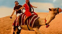 Maleha Camel Rock Morning Desert Safari Dubai