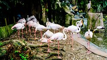 KL Go Nature - Orchid Garden, Bird Park & Butterfly Park Tour