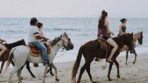 Kusadasi Horse Riding On Beach And Through The River
