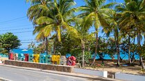 Private Shuttle from Punta Cana to Las Terrenas or Viceversa