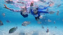  Bali Snorkeling Blue Lagoon with lunch &Optional waterfall Visit