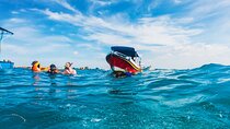 Bali Tropical Snorkeling and Mangrove Cruise