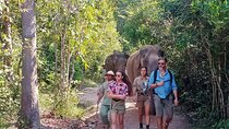Kulen Elephant Forest and Tonle Sap Lake by Private Tour