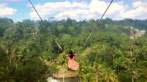 Ubud Tour with Jungle Swing and Waterfall Water Temple 