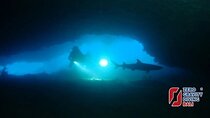 Shark Cave Diving Tangked and Biaha 2 dives for certified divers