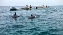 Mnemba Island Swim with Dolphins and Snorkeling (Sea food Lunch)