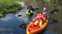 Wekiva Wildlife Kayaking Adventure Tour