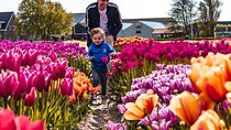 Tulip Experience and Keukenhof Flower Gardens Tour from Amsterdam