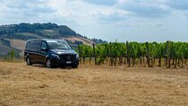 Bocelli Essence of Wine and Volterra Tour from Rome