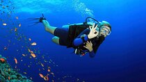 Fethiye Scuba Diving Experience By A Local Expert
