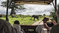 4 Days Masai Mara 4x4 Jeep Lodge Safari