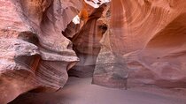 Mountain Sheep Canyon & Horseshoe Bend Tours - Arizona Tours