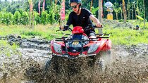 Quad Bike Adventure and Monkey Forest Experience All-Inclusive