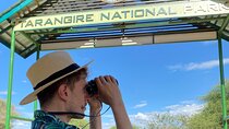 4 days Tarangire National park, Serengeti National park and Ngorongoro crater 