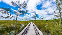 Everglades National Park: Self Guided Driving Audio Tour