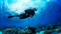 Scuba Beginner Diving and Snorkeling with Lunch From Hurghada