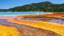 Best of Yellowstone Nat'l Park from W Yellowstone - Private Tour